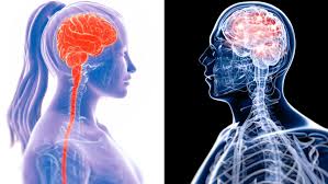 La respuesta corta es sí, el infarto cerebral se puede curar. Diez Minutos El Tiempo Que El Cerebro Vive Despues De La Muerte Del Cuerpo