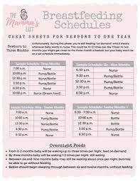 Breastfeeding Pumping Schedules For New Moms Breastfeeding Baby Eating Schedule Breastfeeding And Pumping