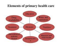 Key Elements Of Primary Health Care Phc Health Care Community Health Nursing Health
