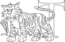 Observe these predators as they sleep, yawn your coloring tips will appear on a web page exactly the way you enter it here. Learn Letter T For Tiger Coloring Page Download Print Online Coloring Pages For Free Color Nimbus