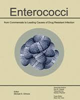 Enterococcal Infection Treatment And Antibiotic Resistance Enterococci Ncbi Bookshelf