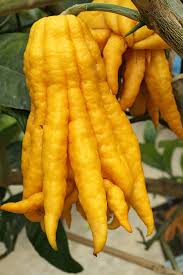 How many of these 12 unusual fruits and vegetables have you tried? 12 Unusual Fruits And Vegetables To Shake Up Your Meals