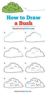 How To Draw A Bush Really Easy Drawing Tutorial Drawing Tutorial Easy Easy Drawings Drawing Tutorial