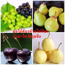 ของไหว้ตรุษจีน 2564 ของไหว้ตรุษจีน เนื่องในวันตรุษจีน 2564 มาดู. à¸ª à¸‡à¸— à¸„à¸§à¸£à¸£ à¸ à¸­à¸™à¹„à¸«à¸§ à¸•à¸£ à¸©à¸ˆ à¸™ à¸œà¸¥à¹„à¸¡ à¸­à¸°à¹„à¸£à¹„à¸«à¸§ à¹à¸¥ à¸§à¹€à¸®à¸‡ à¹€à¸› à¸™à¸ª à¸£ à¸¡à¸‡à¸„à¸¥ à¹à¸¥à¸°à¸œà¸¥à¹„à¸¡ à¸• à¸­à¸‡à¸« à¸²à¸¡à¹„à¸«à¸§ à¸£ à¸šà¸•à¸£ à¸©à¸ˆ à¸™à¸¡ à¸­à¸°à¹„à¸£à¸š à¸²à¸‡ à¹„à¸«à¸§ à¸•à¸£ à¸©à¸ˆ à¸™à¸— à¸– à¸à¸• à¸­à¸‡à¸„à¸§à¸£à¹„à¸«à¸§ à¸•à¸­à¸™à¹„