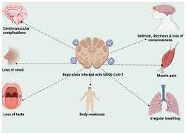 Psych | Free Full-Text | Challenges and Implications of the COVID-19  Pandemic on Mental Health: A Systematic Review