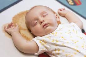 missing sleep can erase your memory
