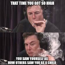 He always has trolled other people or sometimes even himself on. Elon Musk High As Space In 2021 Text Memes Memes Elon Musk