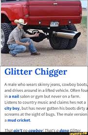Glltter Chlgger A Male Who Wears Skinny Jeans Cowboy Boots And Drives Around In A Lifted