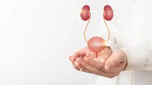 Image result for Urinary Retention