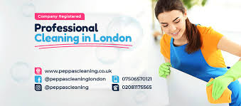 Blackheath & greenwich window cleaners provide a window cleaning service in the area, we try not to use ladders if we can for the obvious reason so we have been using the reach and wash system in blackheath & greenwich which is very useful for reaching and cleaning windows above conservatories, conservatory roofs and. Peppa S Cleaning Services London Home Facebook