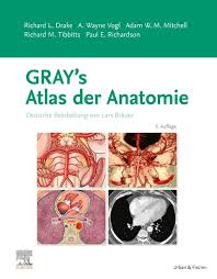 Maybe you would like to learn more about one of these? Gray 039 S Atlas Der Anatomie Von Richard L Drake Isbn 978 3 437 44702 0 Fachbuch Online Kaufen Lehmanns De