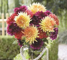 Maybe you would like to learn more about one of these? Grow Your Own Flowers To Keep Bouquets Coming The Daily Courier Prescott Az
