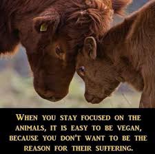 Legal Definition Of Veganism Veganism Denotes A Philosophy And Way Of Living Which Seeks To Exclude As Far As Is Possible And Practicible All With Images Vegan Animals