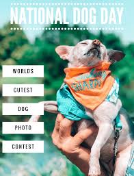 National dog day, los angeles. Are You Ready To Show Off Your National Dog Day Facebook