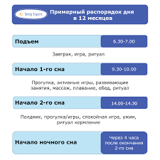 Rasporyadok Dnya Rebenka V 1 God Po Mesyacam Rekomenduemyj Po Chasam