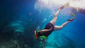 The official facebook account of biscayne national park. Take A Boat Trip To Snorkel Sail And Explore Biscayne National Park