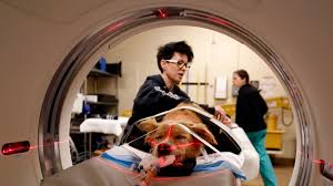 This background enables our faculty and staff to consider possible medical conditions which may also affect the behavior of the animal as a whole. Poisoned Pets Preemie Foals Dogs With Spina Bifida Uc Davis Top Ranked Vets See Them All Los Angeles Times