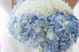 We did not find results for: 9 Beautiful Destination Wedding Flower Options Destify