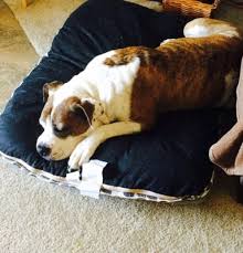 Veterinarian in la mesa offers compassionate treatment and careuniversity pet hospital embraces our mission to be the most reliable, responsible, and respected. El Cerrito Veterinary Hospital 6911 University Ave La Mesa Ca Unknown Mapquest