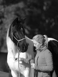 Integrated Veterinary Therapeutics