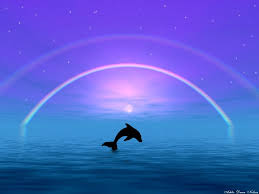 Check spelling or type a new query. Dolphin Wallpaper Collection 36