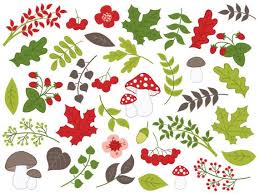 Forest Clipart Digital Vector Mushrooms Berries Summer Etsy In 2020 Clip Art Autumn Forest Stuffed Mushrooms