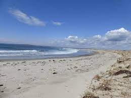 We did not find results for: The Best Parks Nature Attractions In East Petpeswick Tripadvisor