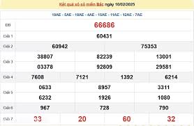 XSMB 10/2, kết quả xổ số miền Bắc thứ 2 ngày 10/2/2025. dự