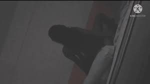 Packs de Morritas - Pase privado a packs de morritas juveniles