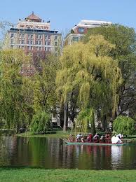 Image Result For Boston Public Garden Boston Public Garden Boston Common Boston Public