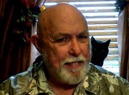 Can chicken wings be piled in when cooking?