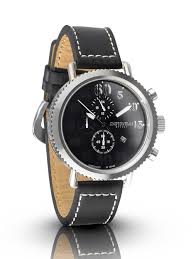 Image result for Crystal Black 2010 Pilot