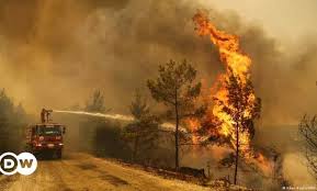 Global surface temperature was 1.09c higher in the decade between one key aspect of the report is the expected rate of temperature rise and what it means for the safety of. Strutehrseyldm