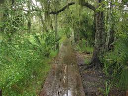 Maybe you would like to learn more about one of these? Jean Lafitte Rv Park 2 Photos Lake Charles La Roverpass