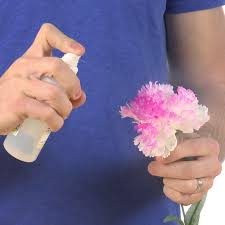 Magic Color Changing Flower The Lab Flower Science Steve Spangler Science Science Experiments Kids