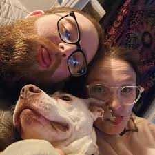 Where to buy cake supplies near me?