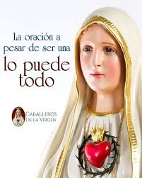 REGALEMOS UNA ROSITA A MARÍA DIOS TE SALVE MARÍA LLENA ERES DE GRACIA EL  SEÑOR ES CONTIGO BENDITA TU ERES ENTRE TODAS LAS MUJERES Y BENDITO ES EL  FRUTO DE TU VIENTRE