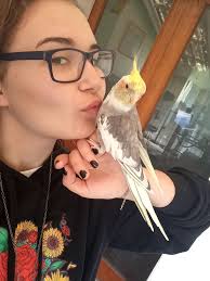 Hi everyone, so this is Yuki, he turned a year old in November. When I got  him as a baby he made his normal baby screeches when fed him veggies or  pellets;