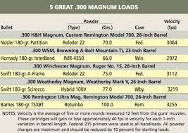 pros cons of the 300 magnums