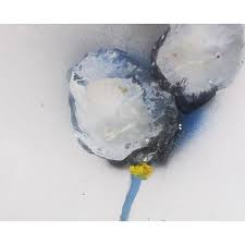 Robert Baribeau Stem #226, Painting