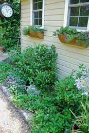 Table of contents harvestable indoor garden solutions care for a spot of tea? How To Grow A Tea Garden Hgtv