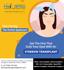 Not Having The Perfect Eyebrow Get The One That Suits Your Eyes With An Eyebrow Transplant Dermaroller Lo Perfect Eyebrows Hair Loss Solutions Hair Therapy