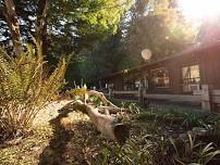 Henry Cowell Redwoods State Park: Native Garden Workday