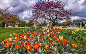 Check spelling or type a new query. Fotos Paris Frankreich Tulpen Fruhling Baume Stadte 3840x2400