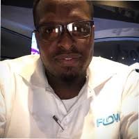 500+ "Dane" profiles