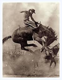 Australian Bronc Riding Legend Alan Woods Applies His Bronc Riding Skills To An Unidentified Bucking Horse No Photogra Rodeo Horses Bronc Riding Cowboy Images