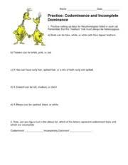 Incomplete Dominance Worksheet Answer Key Incomplete Dominance Worksheet Answer Keys Answers Worksheets
