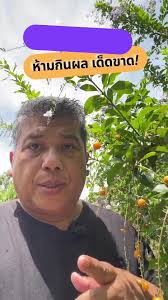 เตือนน้อง ๆ หนู ๆ ห้ามกินผลฟองสมุทร หรือเทียนหยด โดยเด็ดขาด