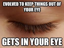 Evolved To Keep Things Out Of Your Eye Gets In Your Eye Scumbag Eyelash Quickmeme