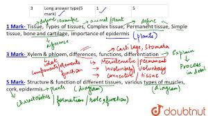 There are four types of animal tissues: Cbse Board Class 9 Tissues Weightage And Important Topics